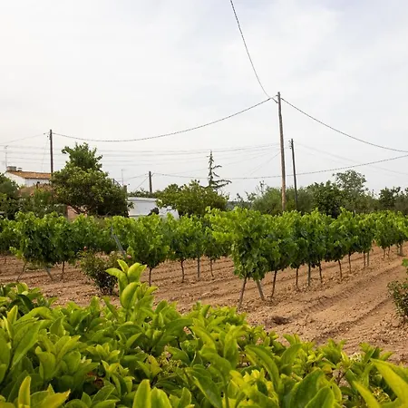 Masia Cal Sisplau: Vineyard Retreat With Pool Near Barcelona